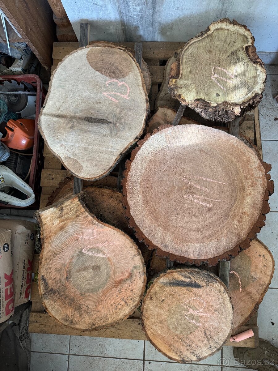 Akátové / jasanové Koláče , příčné rezy - 10