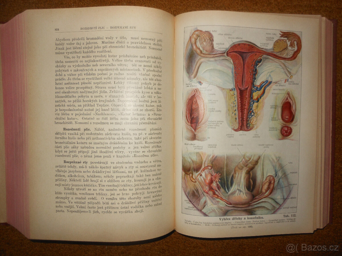 Stará kniha - Nový lékařský rádce - 10