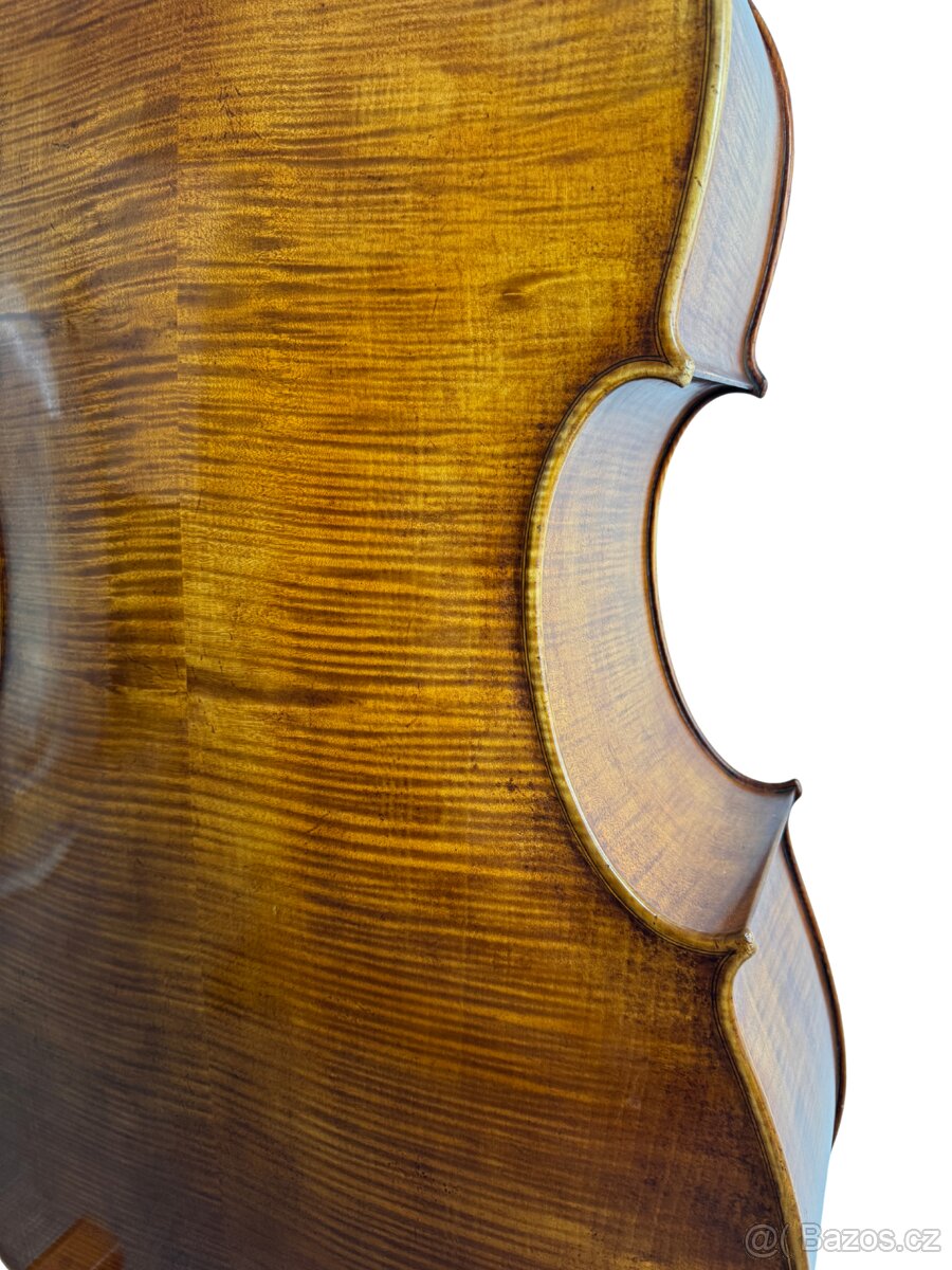 Krásný mistrovský kontrabas - 10
