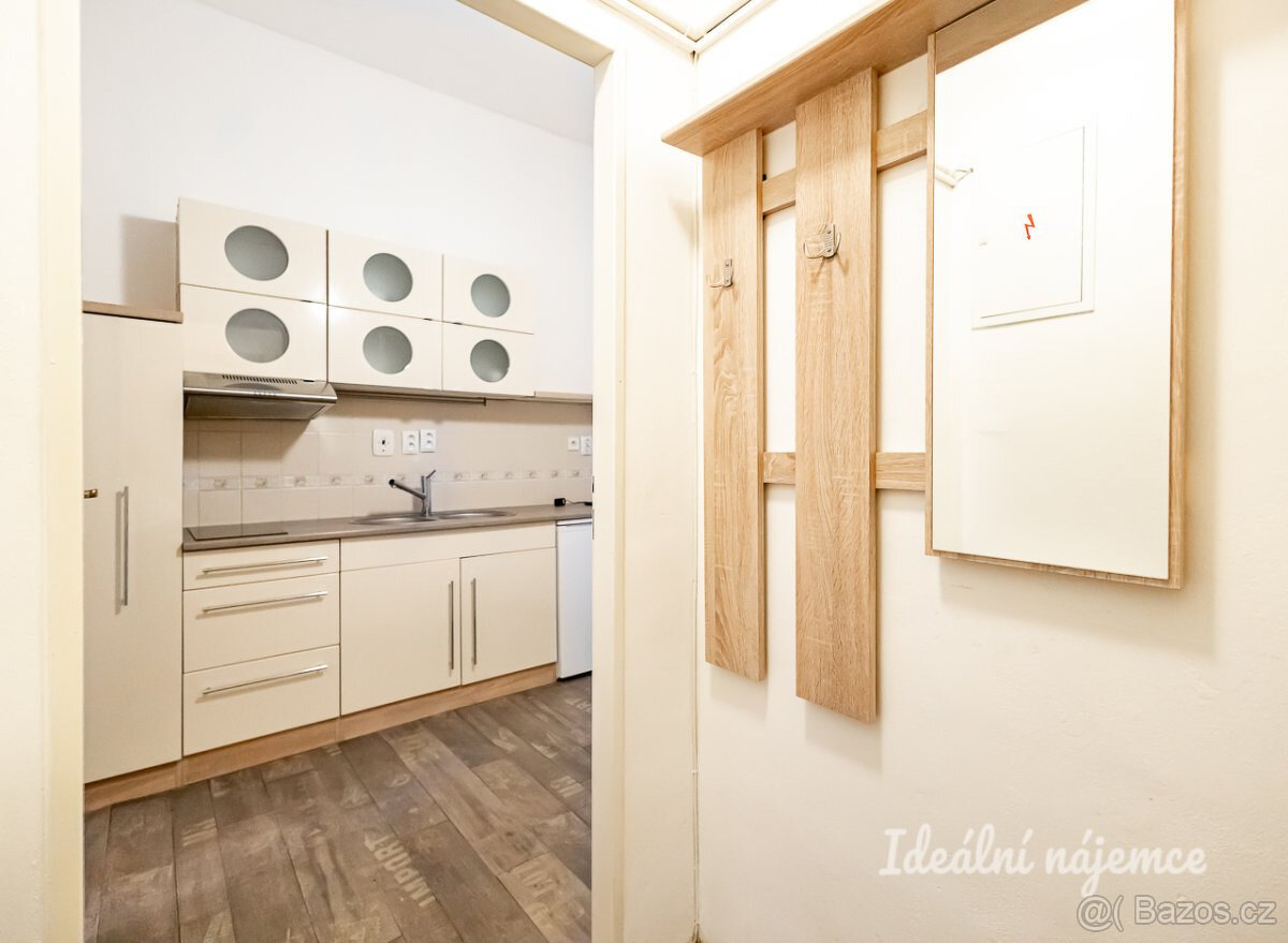 Pronájem bytu 2+1, Víta Nejedlého, Žižkov, 20000 Kč/měs, 43 - 10