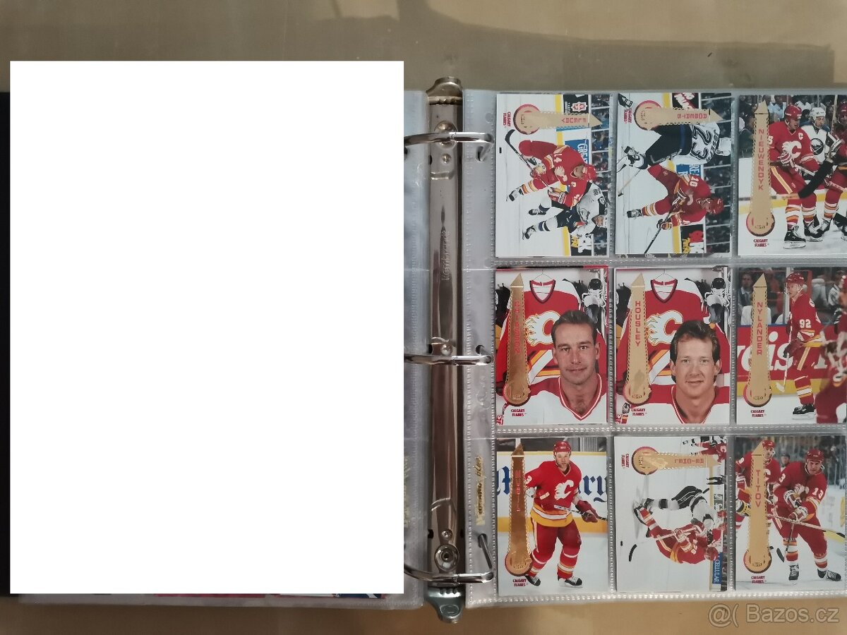 HOKEJOVÉ karty TOP STAV část 1 - 10