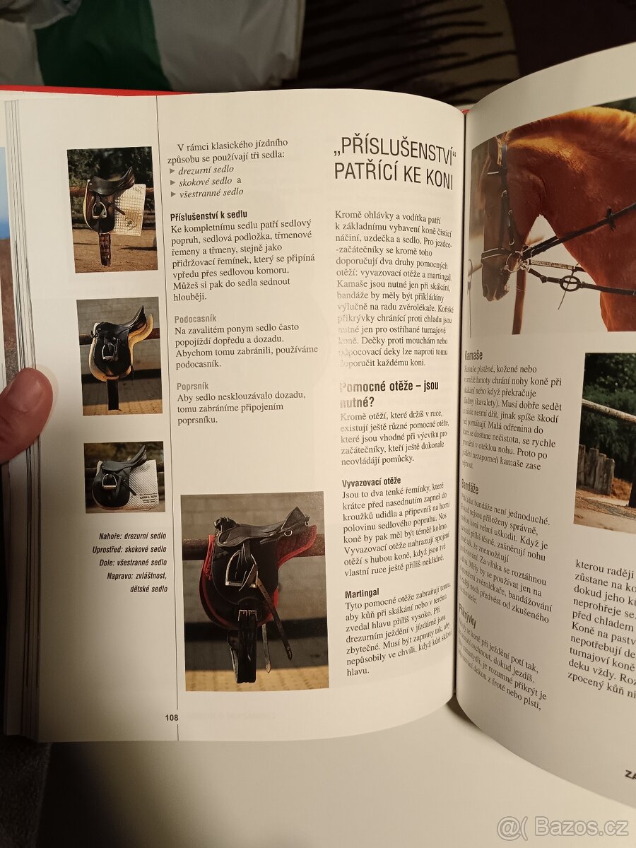 Škola jezdectví - 10