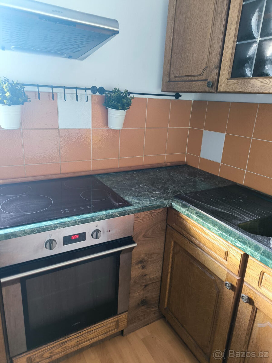 Pronájem bytu 4+1 95m2 zahrada-Ústí nad Labem-Střekov - 10