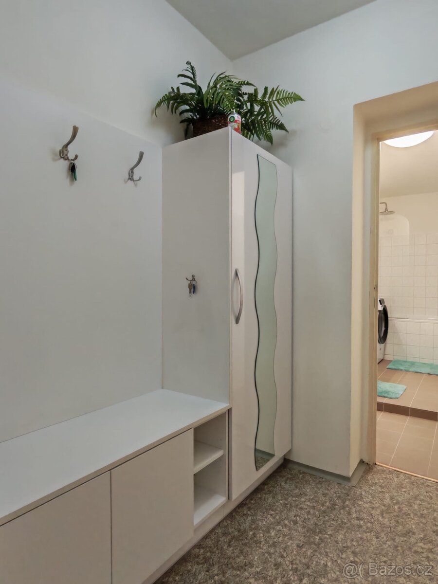 Pronájem bytu 50m2 - 10