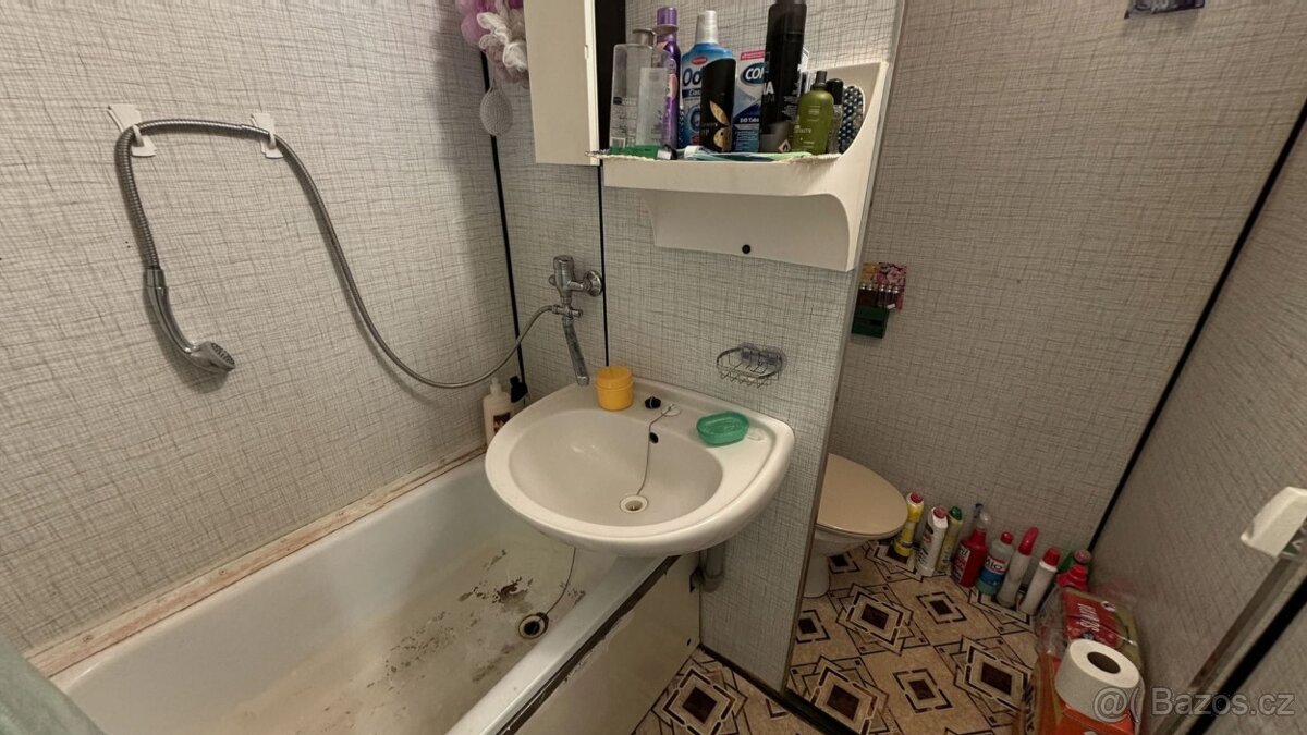Prodej bytu 1+1 Týn nad Vltavou - 10