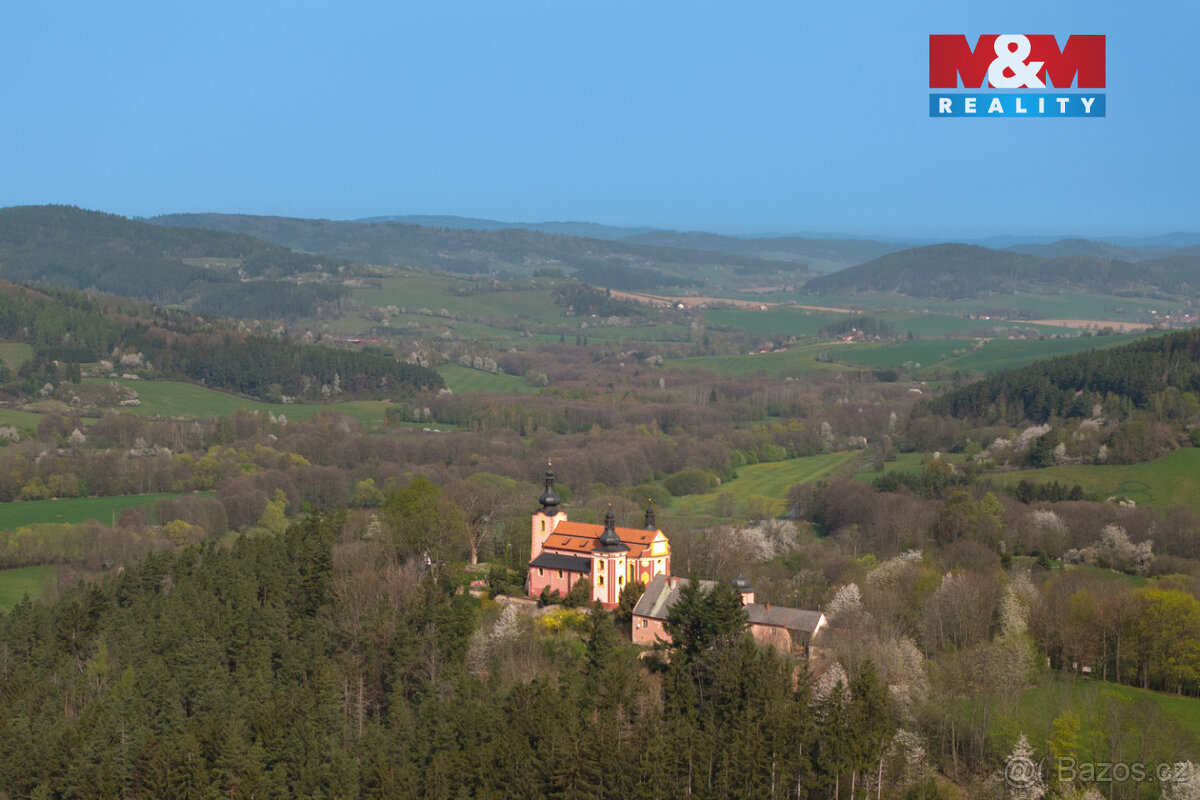 Prodej, stavební pozemek 2.490 m2, Strašín, Lazny - 10