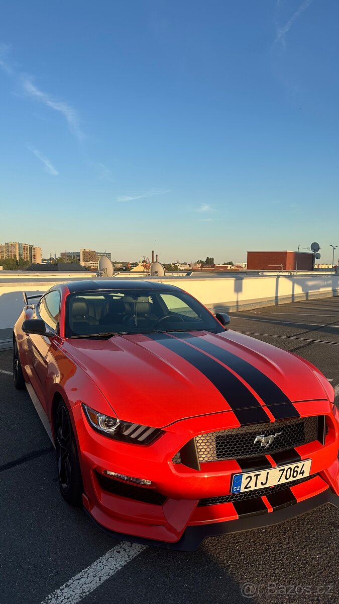 Mustang - 10