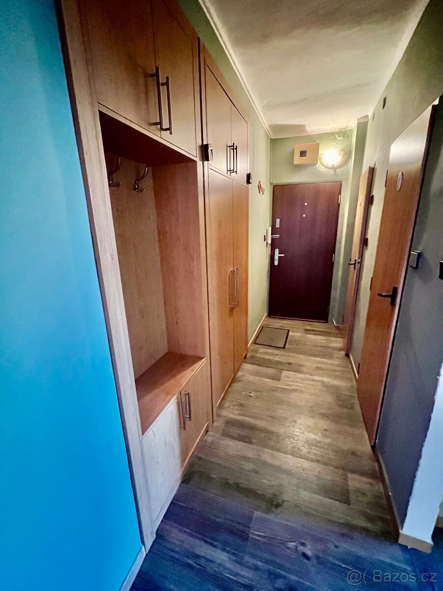 Prodej bytu 2+1, 53 m² Heyrovského - 10