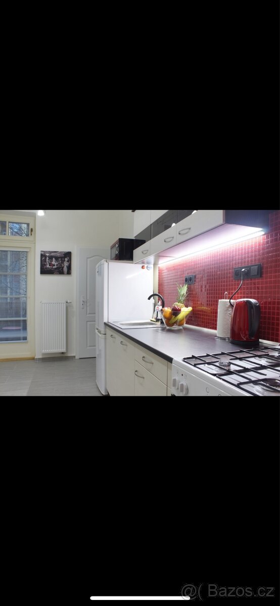 2+1 VINOHRADY, BALKON, CENTRUM - 10