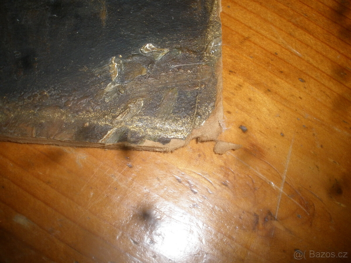 Obraz- F.X.Naske - 10