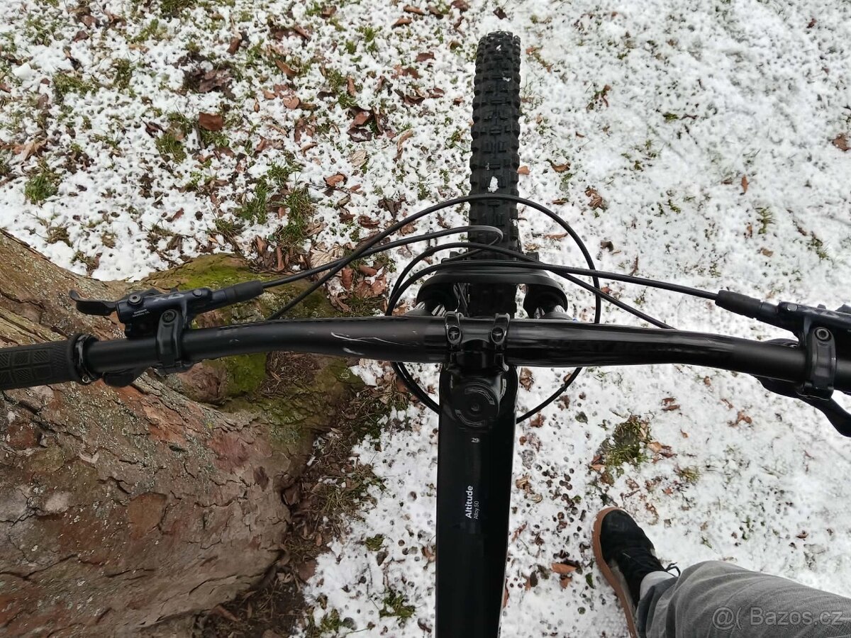 Rocky Mountain ALTITUDE ALLOY 50 - 10