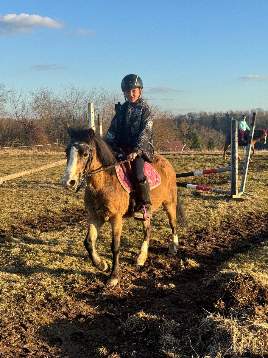 První pony pro děti - 10