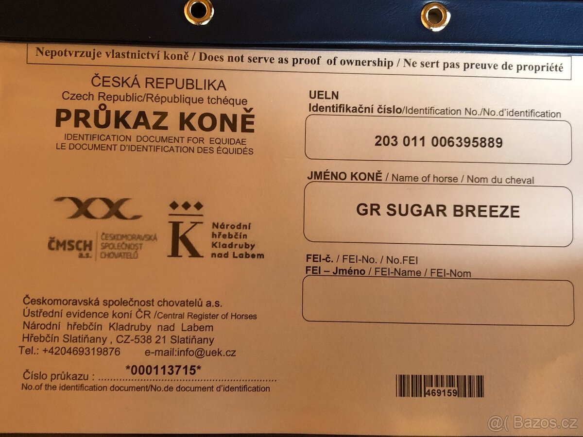 AQH hřebeček 2025 - 10