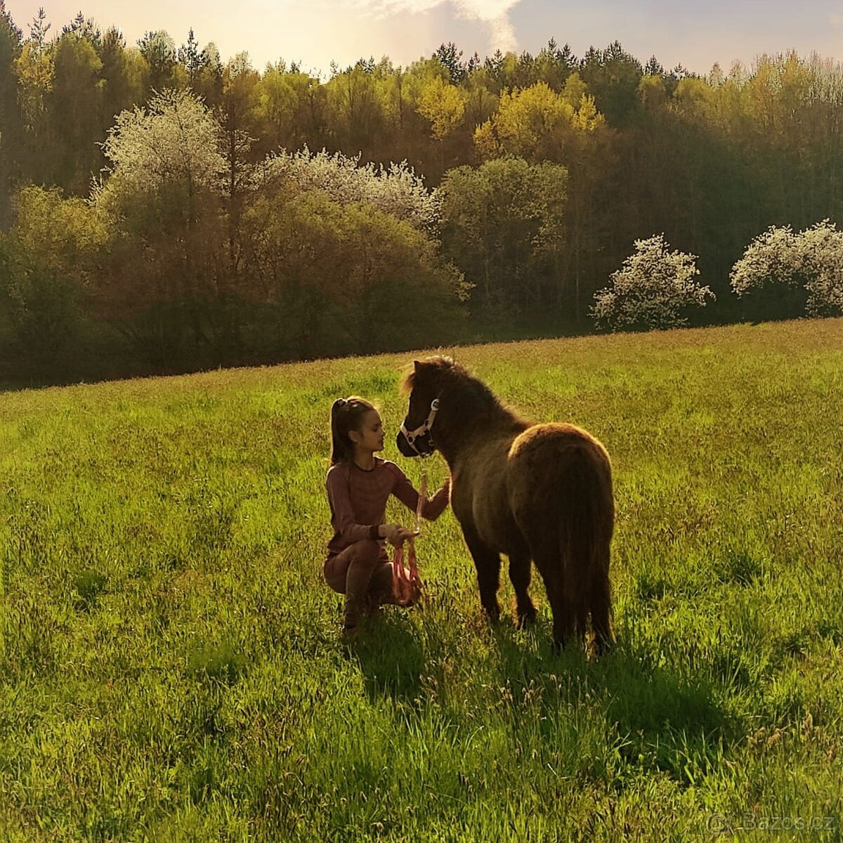 Docházka k poníkovi - 10