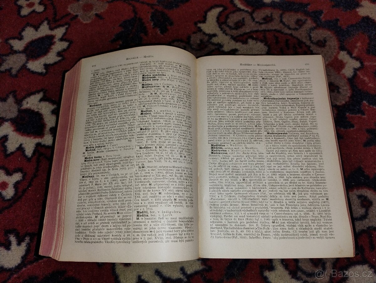 Ottuv slovnik naučný - 10