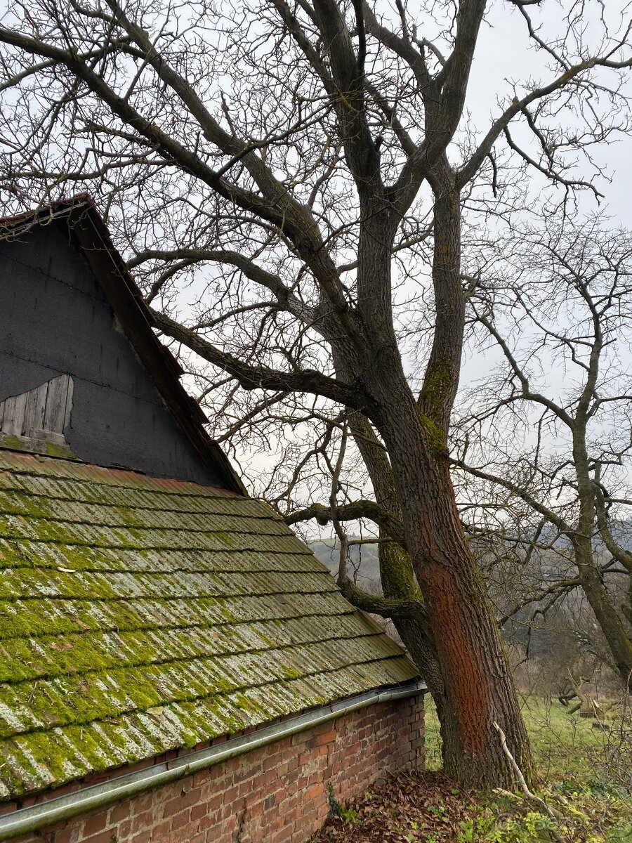 Realizace a údržba zahrad a veřejné zeleně - 10