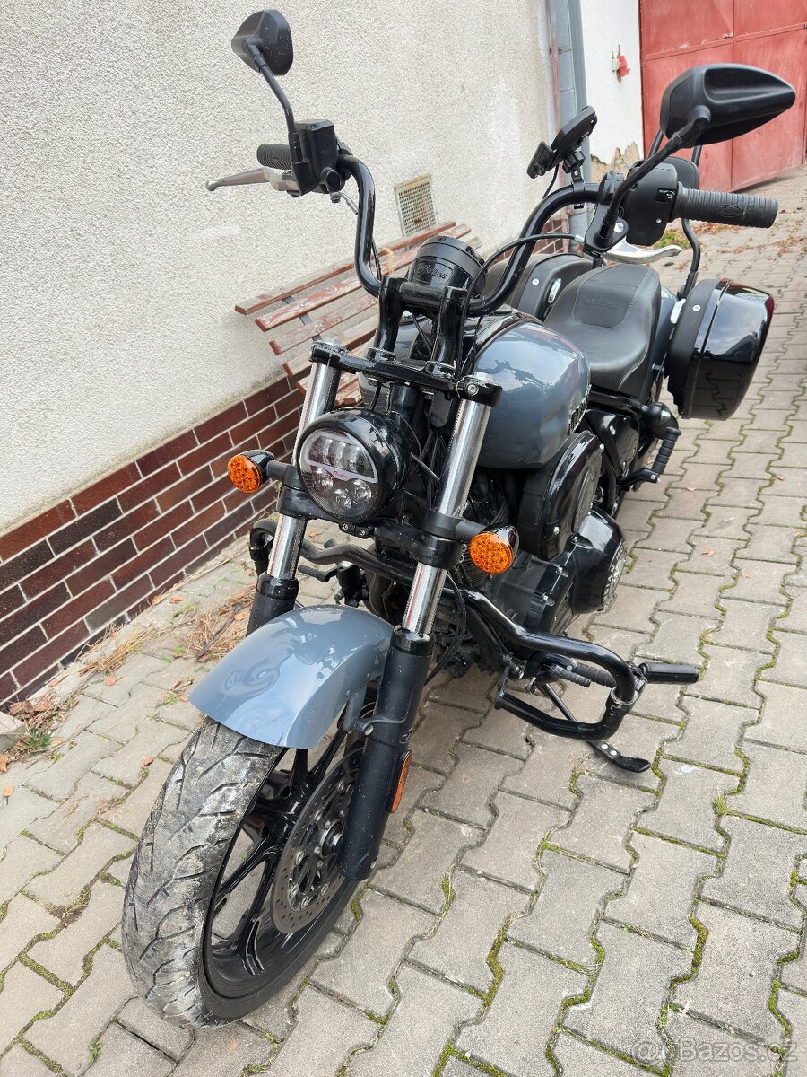 Indian Chief Dark Horse - 10