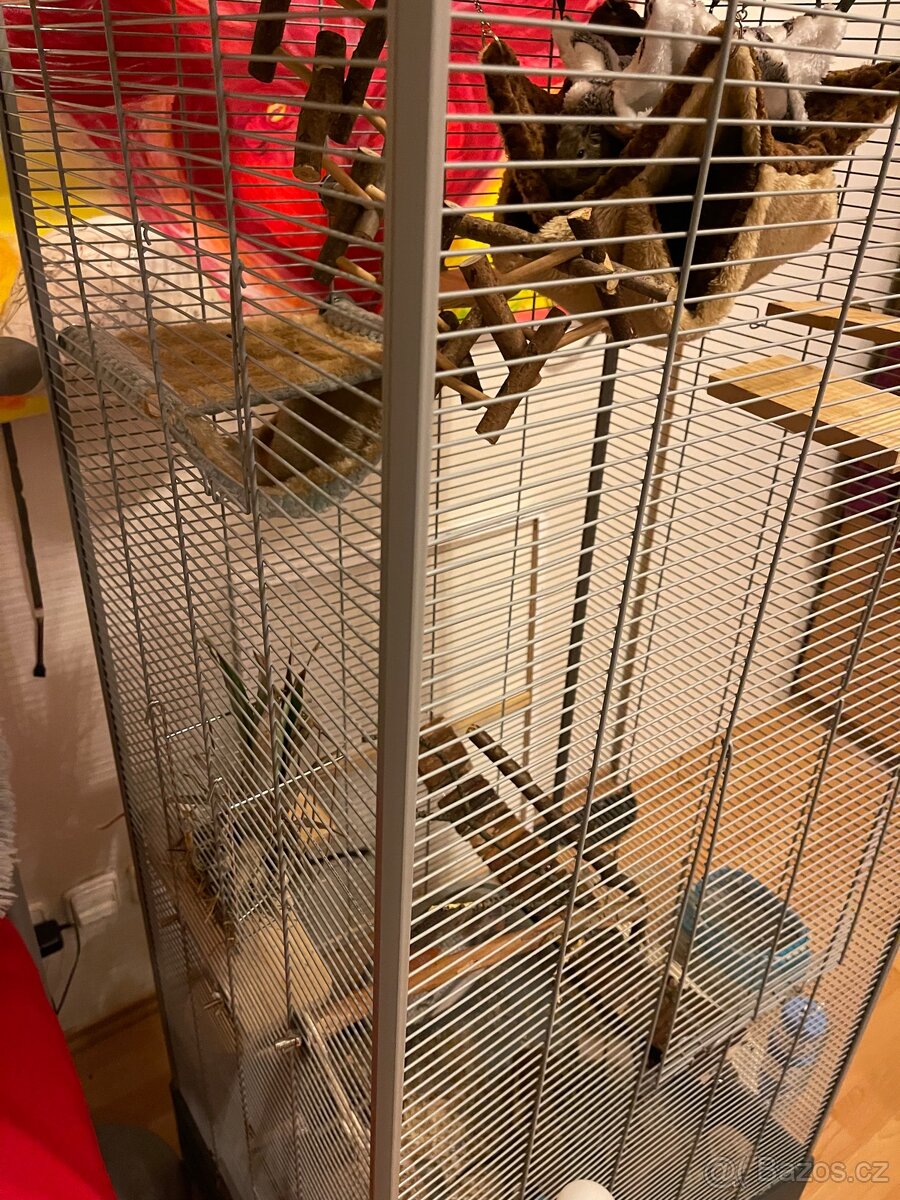 Velká vybavená klec pro osmáky degu - 10