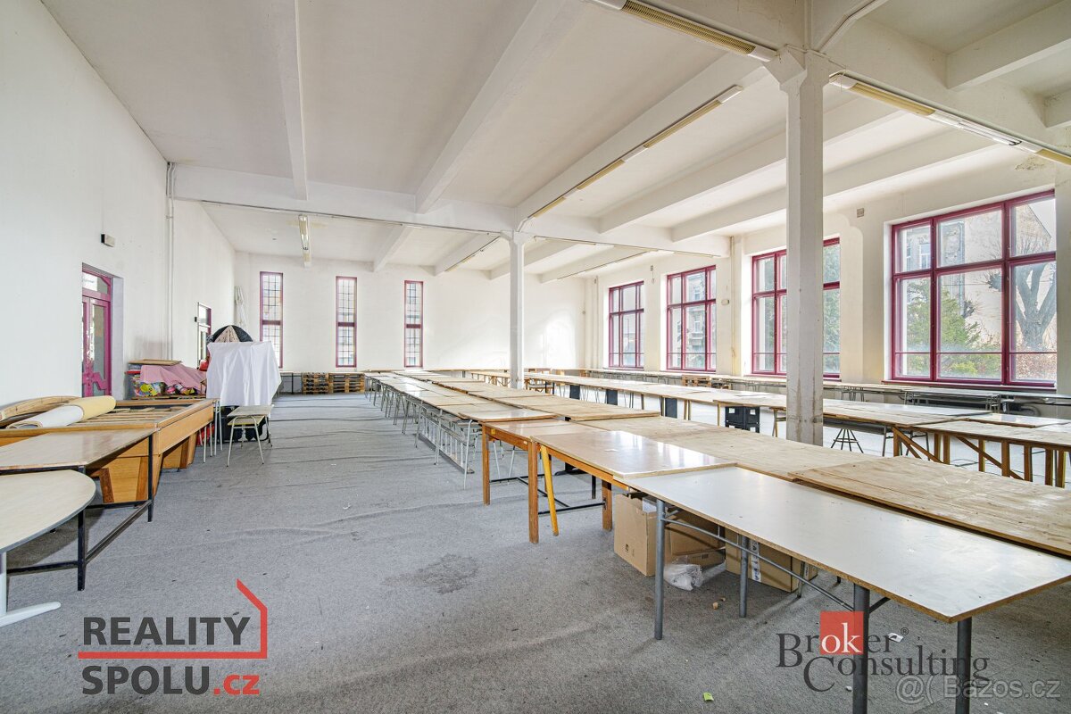 Prodej, domy/památka/jiné, 3090 m2, Mikulášská, Pod Bezručov - 10