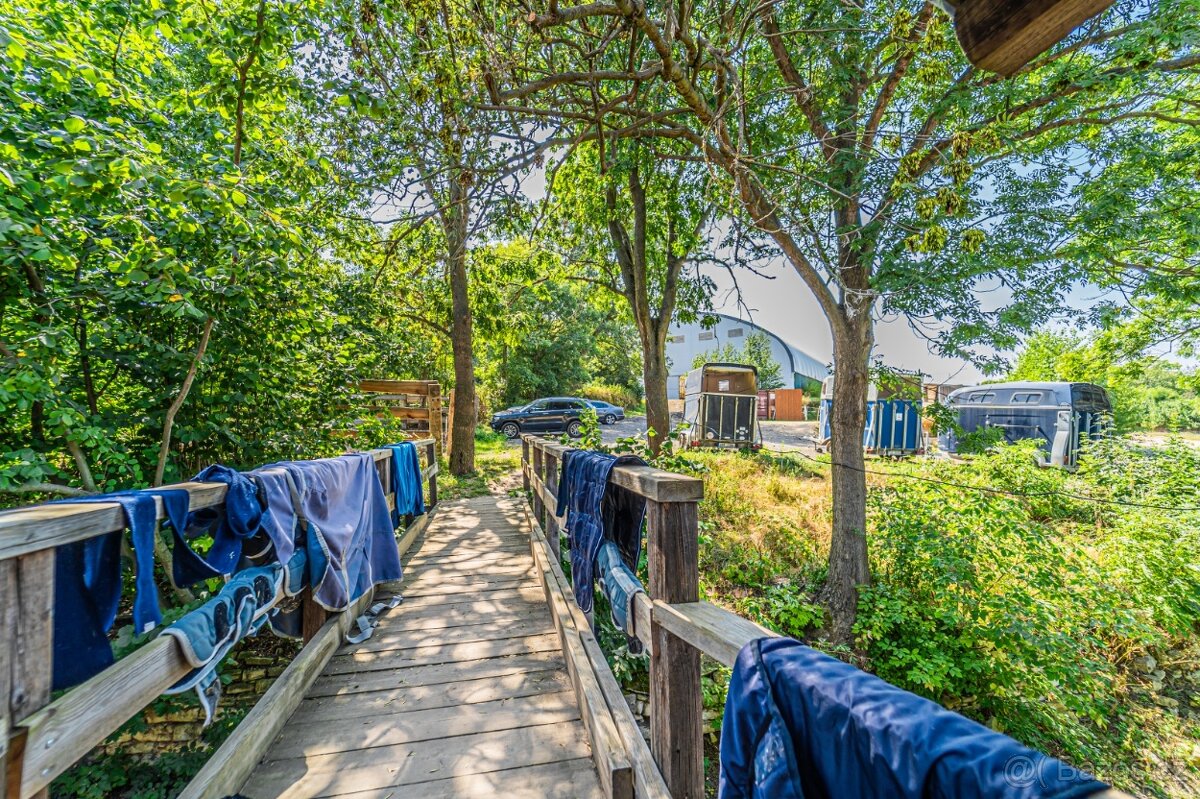 Ustájení koní – Telce u Peruce - 10