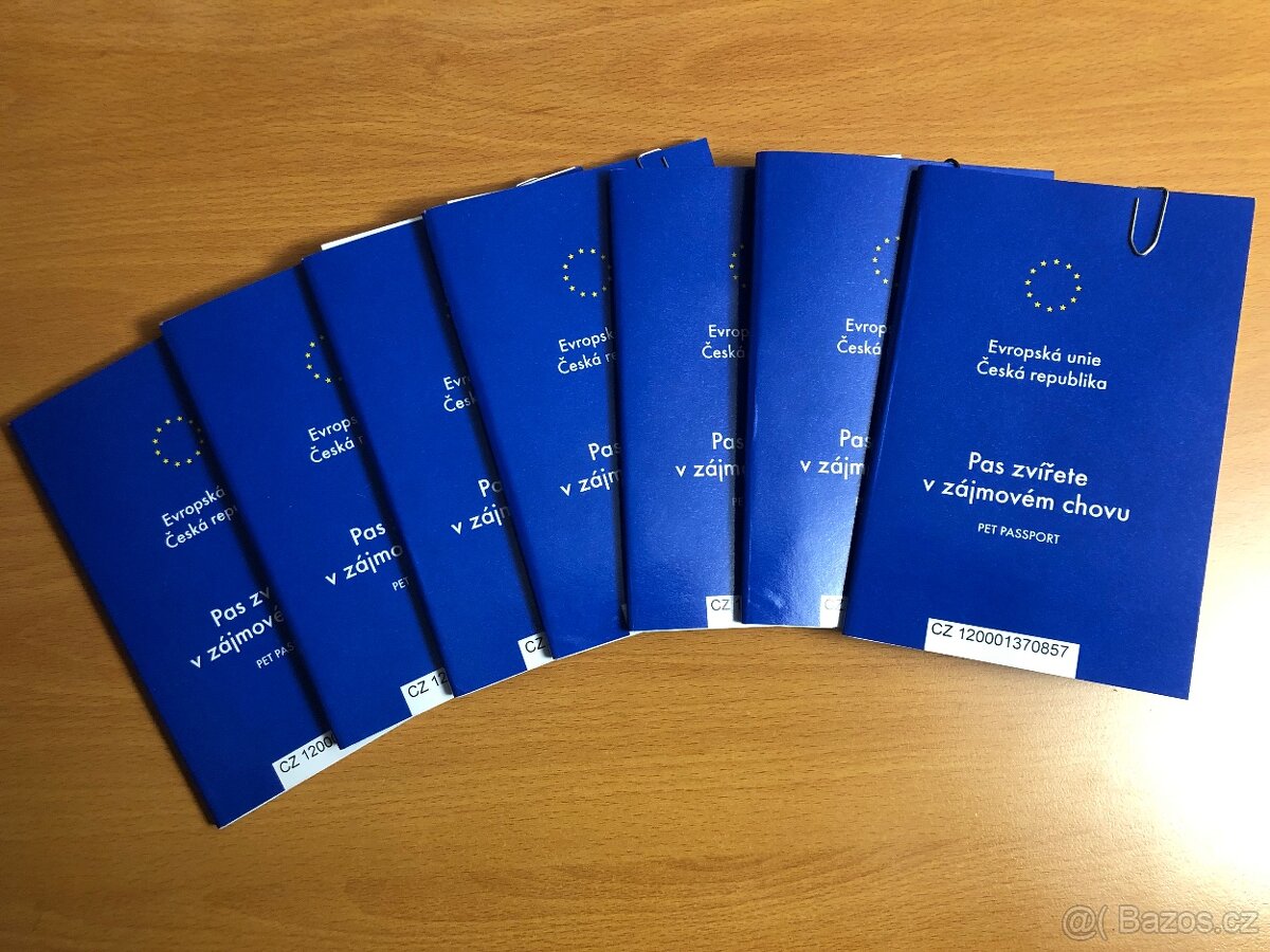 TOSA INU - štěňata s PP - 10