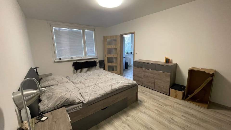 Pronájem bytu 2+1, 64 m2, Střekov, Ústí nad Labem - 10