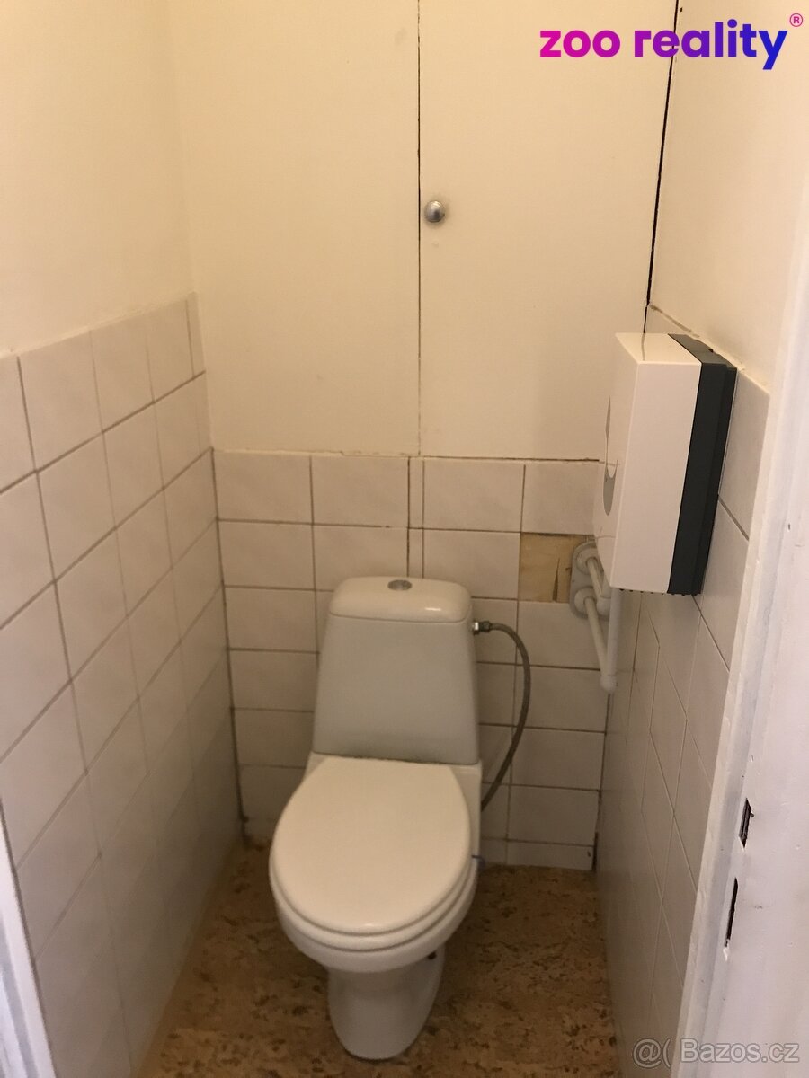 Pronájem 3+1, balkón, POD HVĚZDÁRNOU - 10