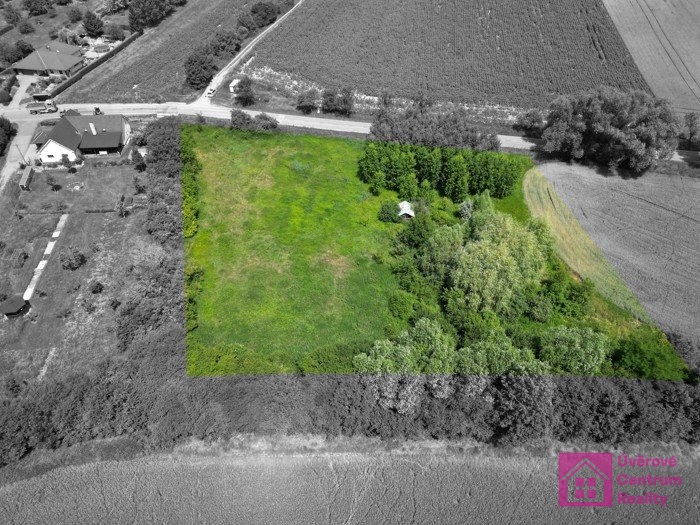 Prodej stavebního pozemku, 7 284 m², Diváky, ev.č. 00112 - 10