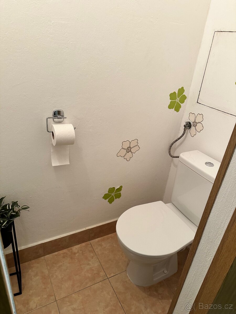 Pronájem bytu 2+1, Husova, Náměšť nad Oslavou - 10