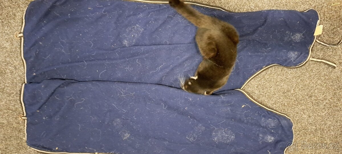 Pony výprodej LEVNĚ - 10