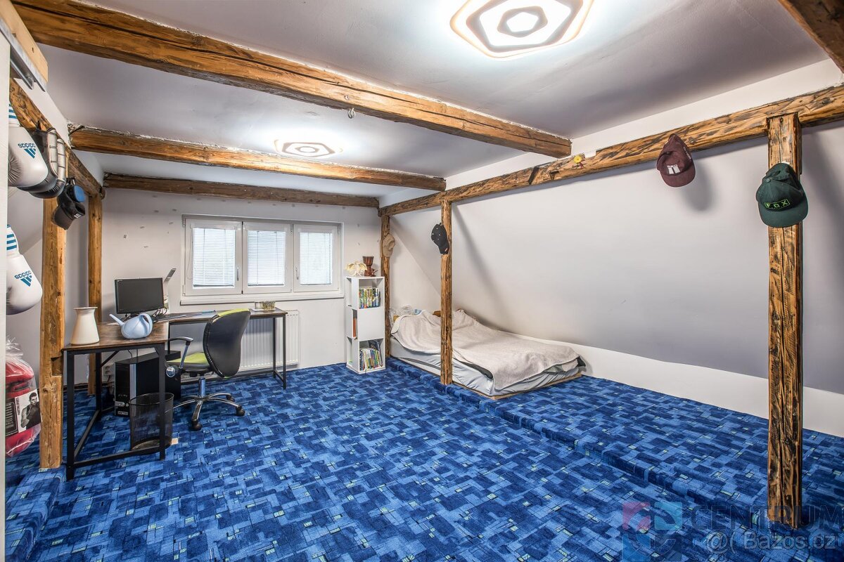 Prodej rodinného domu 250 m2, pozemek 1206 m2 - 10