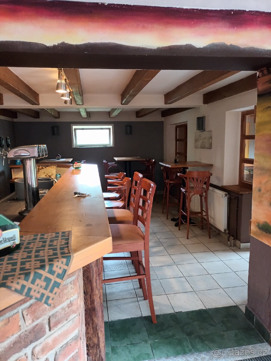 Pronájem nebytového prostoru v Boršově - 10