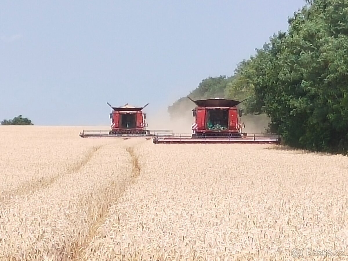 Case IH 7230 AF - 10