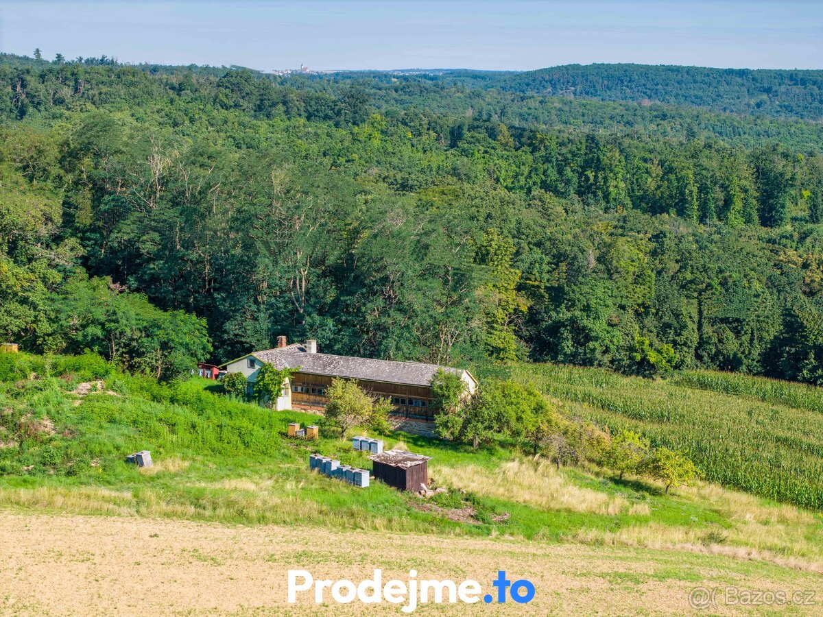 Prodej pozemku se včelínem, 1289m2 - Mikulovice u Znojma - 10