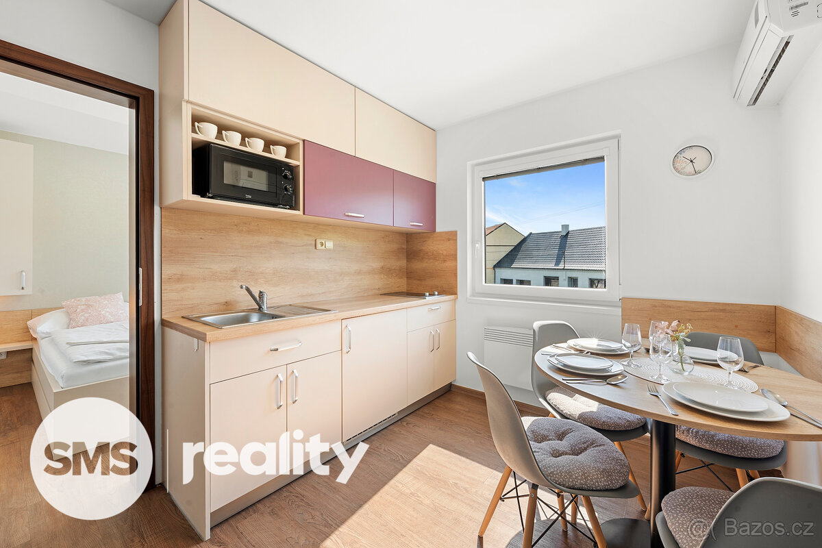 Prodej investičního apartmánového areálu – Milovice u Mikulo - 10