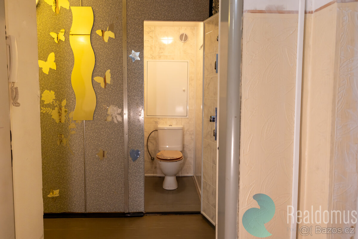 Prodej, byt 2+1, Taškentská, Vršovice - 10