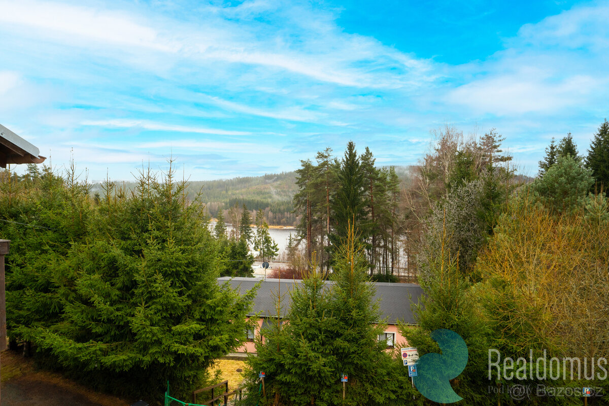 Prodej byt/apartmán 3+1 (67 m²) + 2 parkovací místa, Lipno n - 10