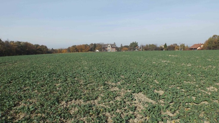 Orná půda O.- Bartovice, cca 25.000m2, rovina, 59 Kč/m2. - 10