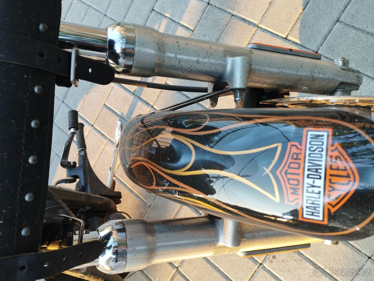 Harley Davidson softail 1600cm - 10