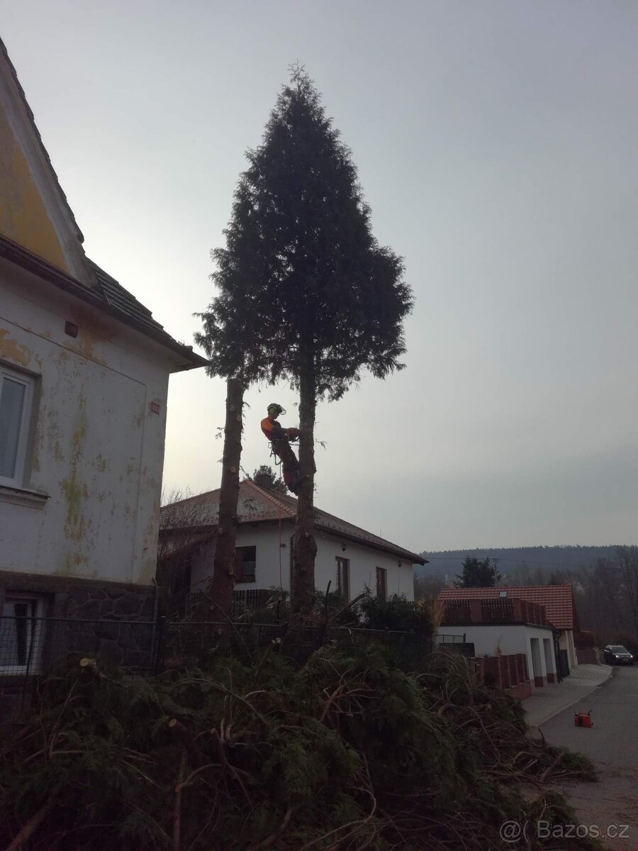 Pronájem autoplošiny - 10