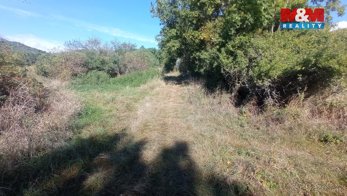 Prodej louky, 13227 m², Jenčice - 10