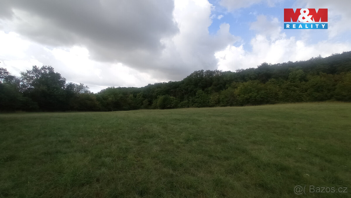 Prodej louky, 12373 m², Jenčice - 10