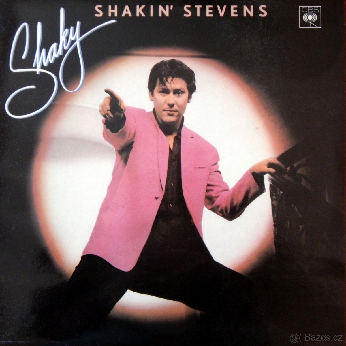 LP Beatles, Tina Turner, Boney M, Wings a j. - 10