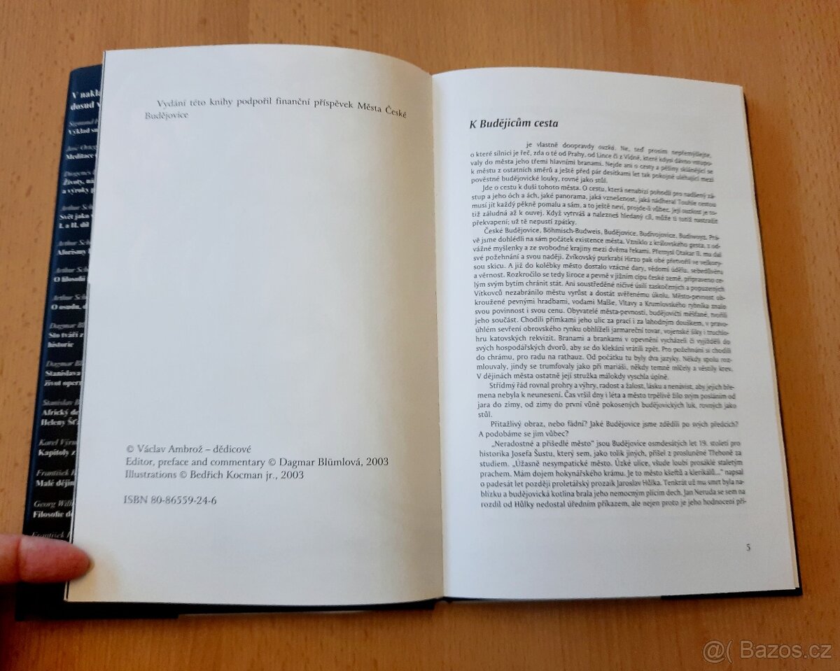 AMBROŽOVY BUDĚJOVICKÉ POVĚSTI A POVÍDKY - 10