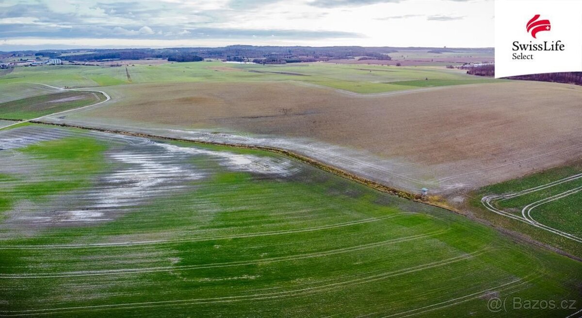 Prodej pole 10113 m2, Ctidružice - 10