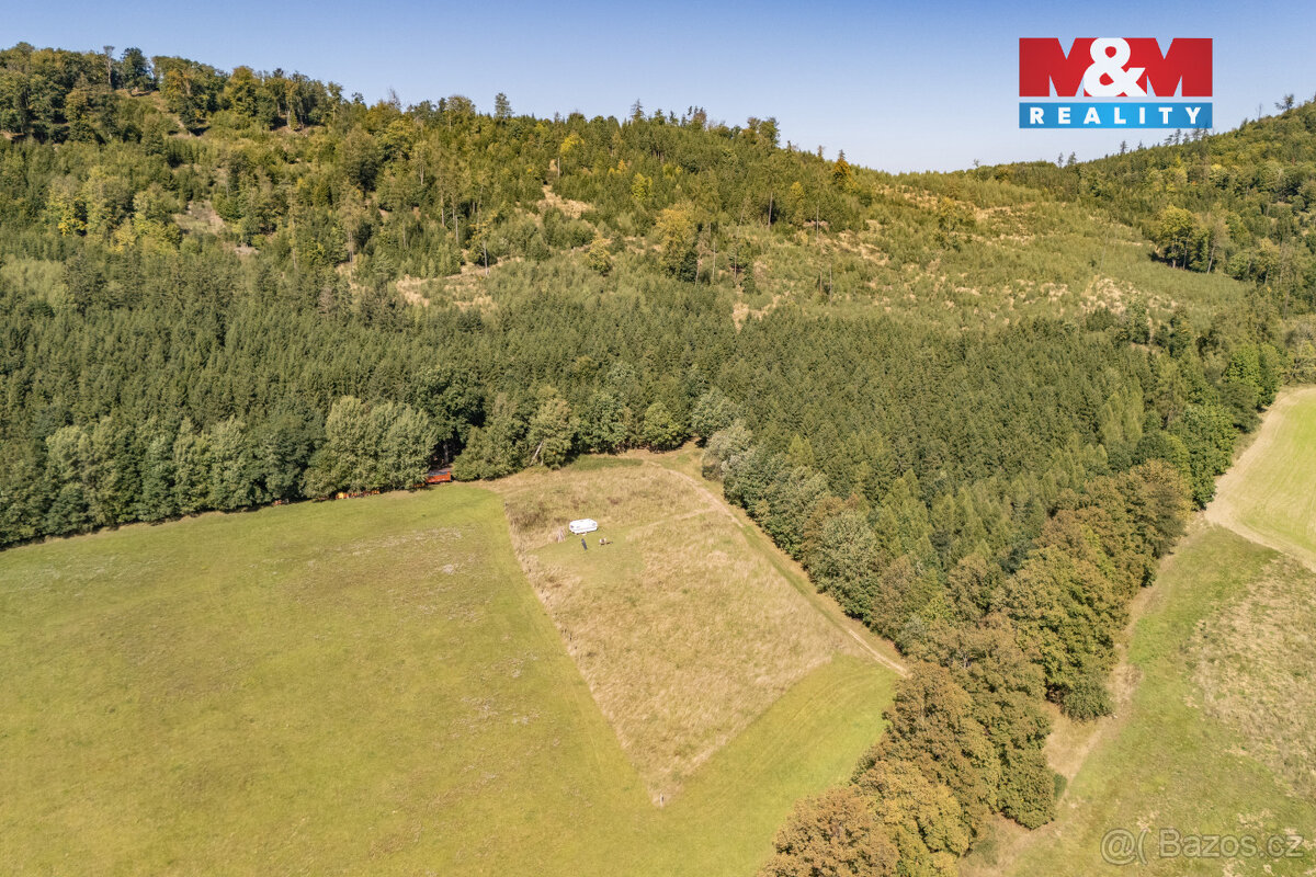 Prodej louky, 5287 m², Kdyně - 10