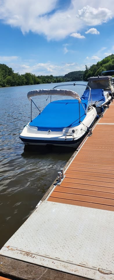 motorový člun Bayliner 602 CUDY - 10