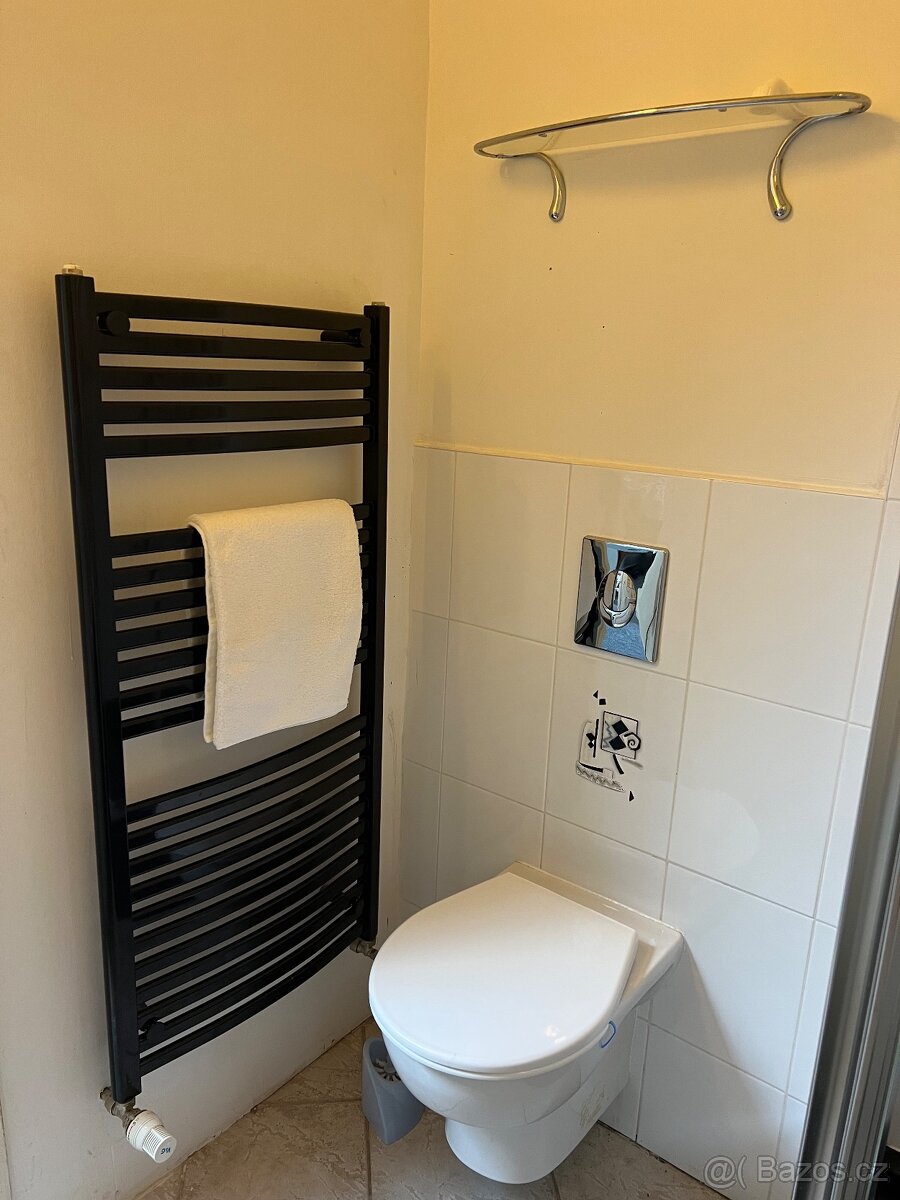 Na Vánoce v novém - centrum Holice - 10