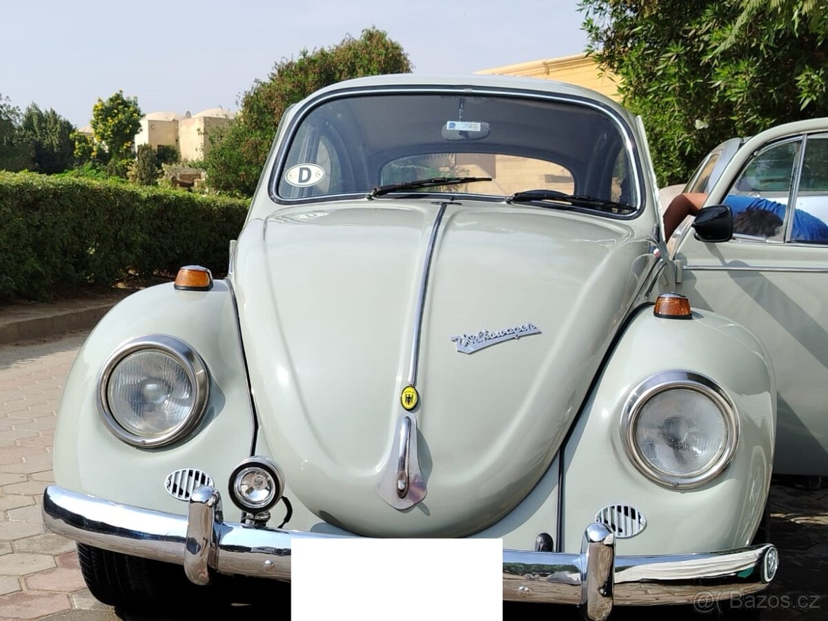 Volkswagen Brouk - 10