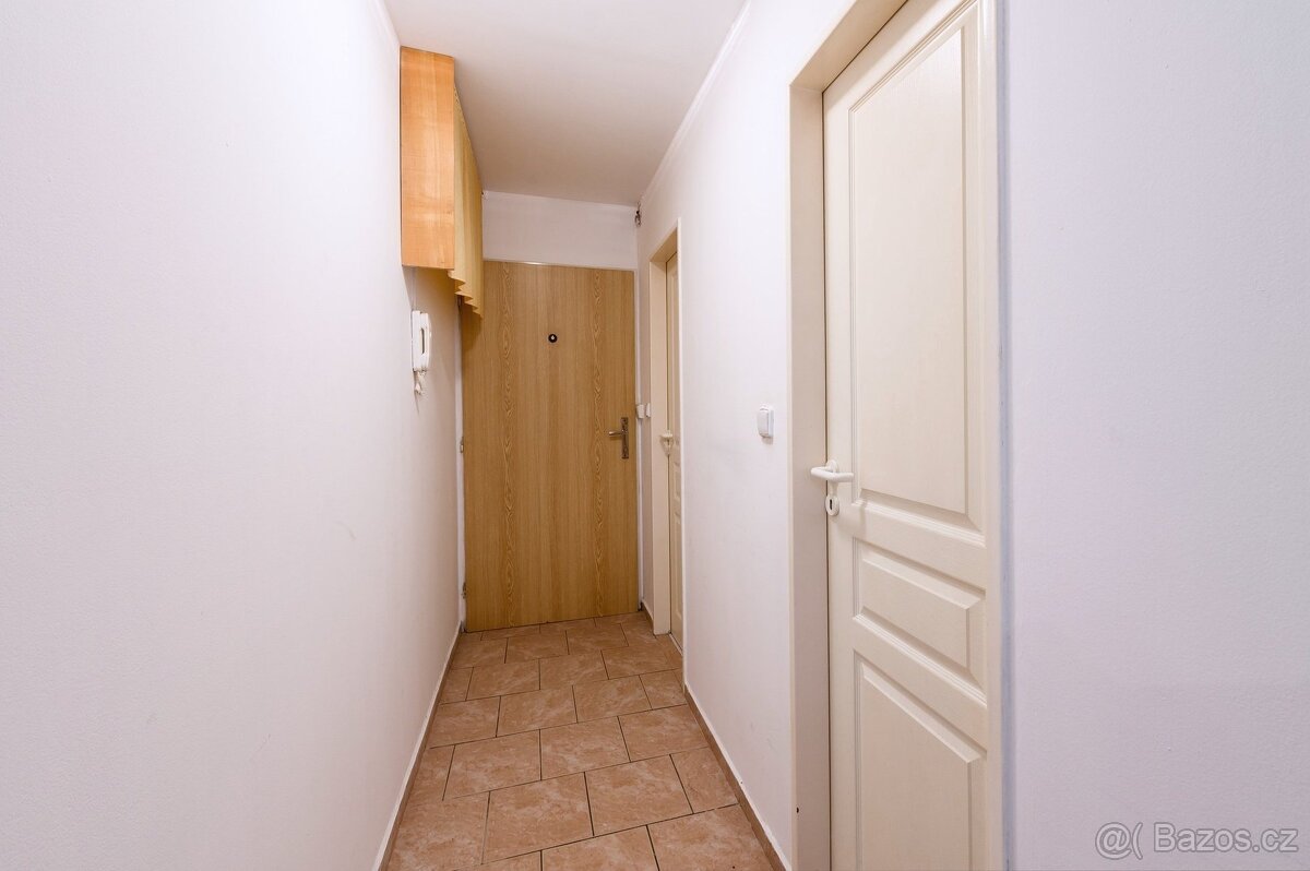 Pronájem bytu 2+kk 68 m², Plzeň - Jižní Předměstí - 10